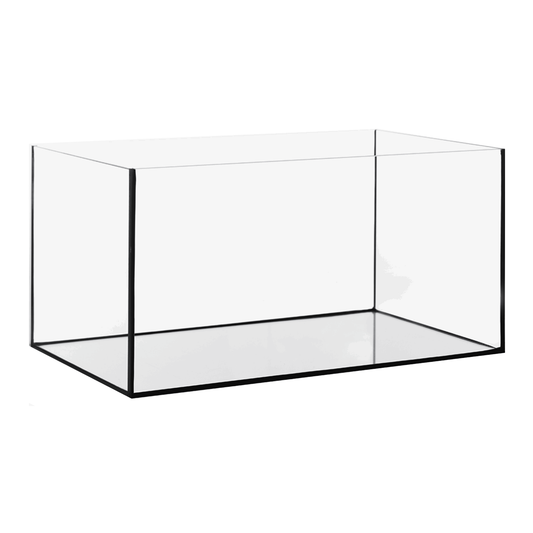Ganzglas-Aquarium - Rechteckig