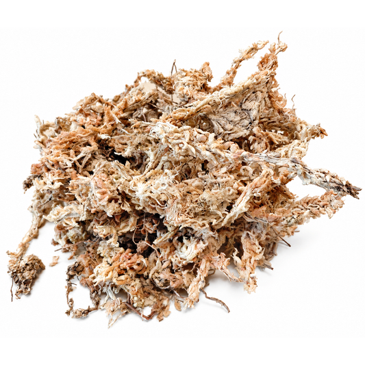 New Zeeland Sphagnum Moss