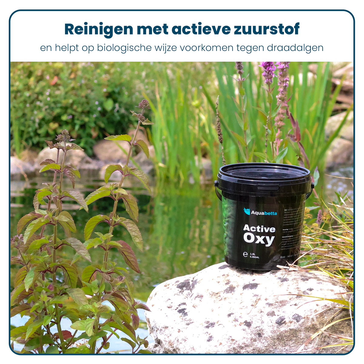 Aktivsauerstoff & Filterstarter Flüssig