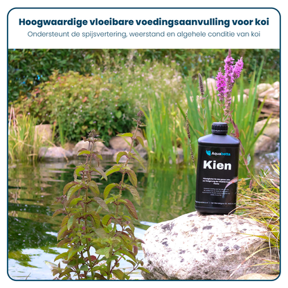 GH Plus, KH Plus, Kien & Stabiel