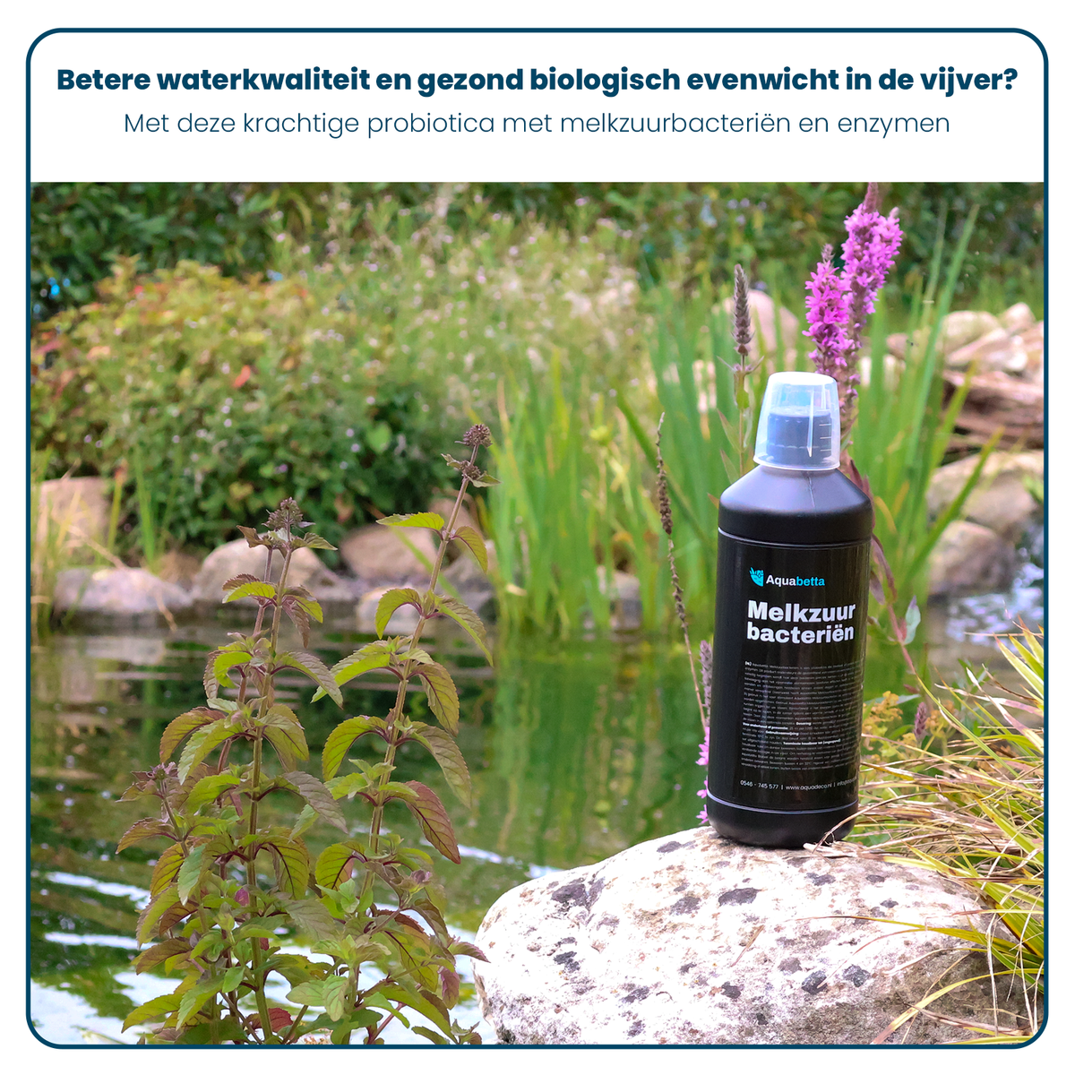 Filterstart-Gel – 2,5 Liter