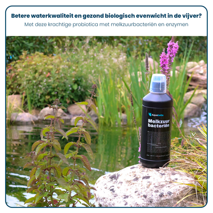 Filterstart-Gel – 2,5 Liter
