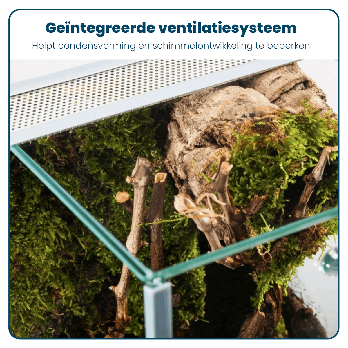 Terrarium - Ventilatierooster