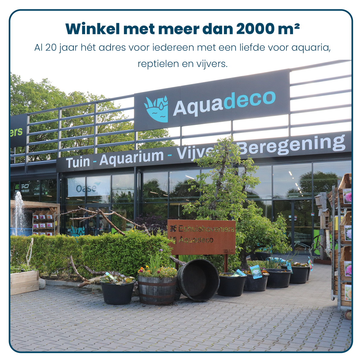 SuperFish Home ProLED