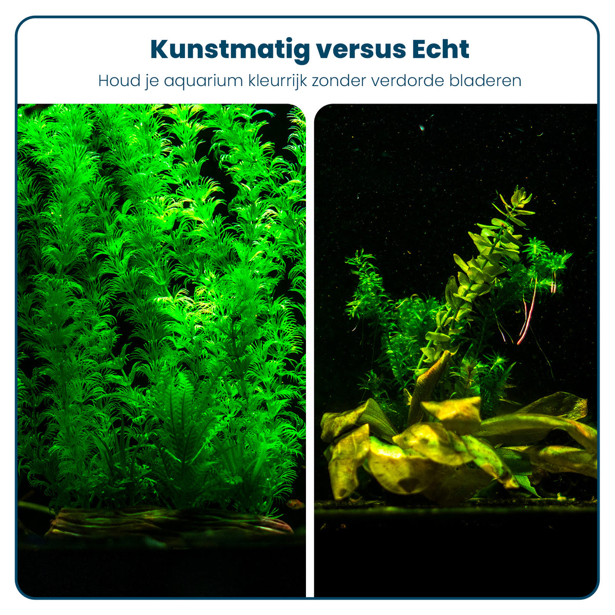 Aquarium-Kunstpflanzen-Set